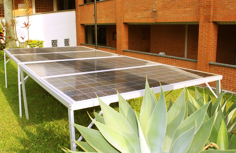 Paneles solares permiten el secado del café