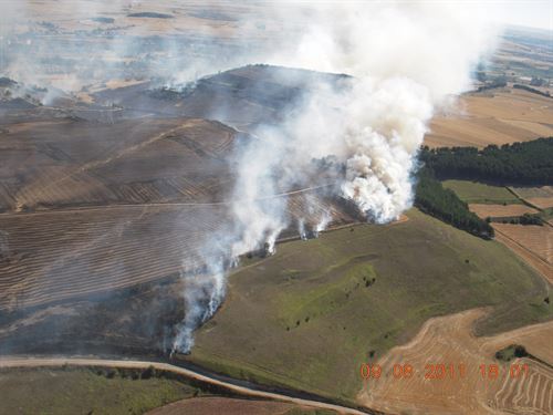 El Colegio de Ingenieros de Montes critica el preocupante retraso en contratación de cuadrillas contra incendios