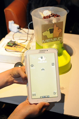 Una aplicación alimentará a tu mascota a distancia