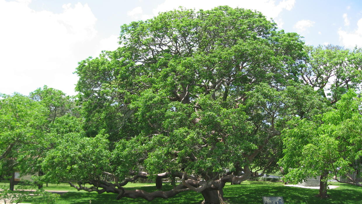 Hispanos y los ‘Parques Nacionales’ de Estados Unidos