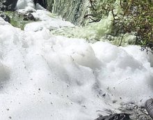 Depuradoras en Doñana ya!