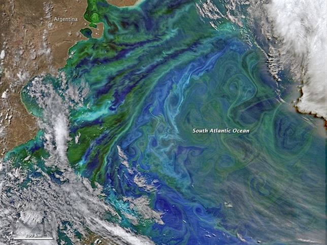 El fitoplancton se ve desde el espacio en el Océano Atlántico Sur