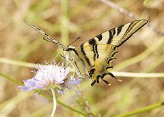 La modificación de los usos del suelo y el calentamiento del planeta