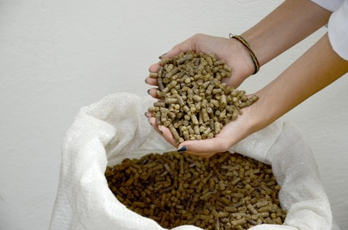 Costa Rica fabrica comprimidos de residuos para producir energía renovable