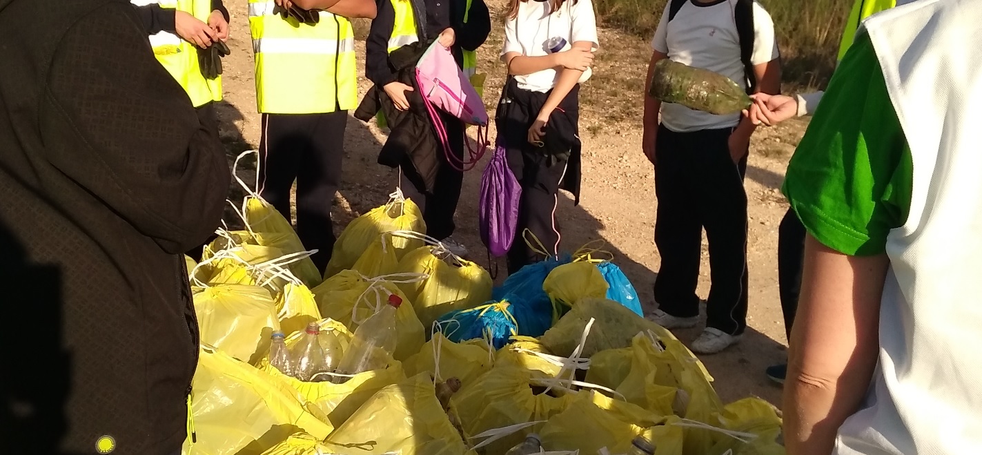 Una veintena de alumnos del Divina Pastora de Ourense recogen 600 envases plásticos en Montealegre