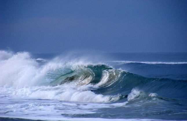 Oceana rechaza la instalación de otra boya en Huelva