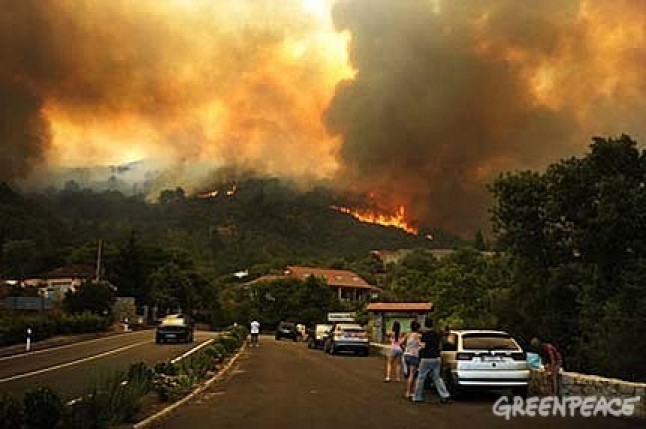 Advierten del aumento de la intensidad de los incendios forestales por el cambio climático