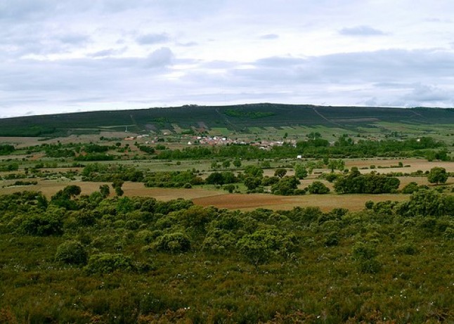 Presenta las actuaciones en la Sierra de la Culebra para la defensa del lobo