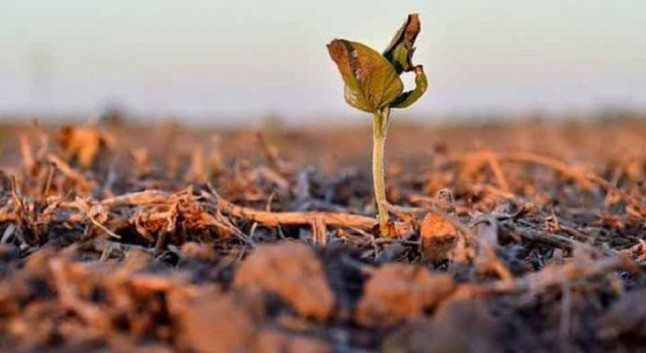 La adaptación al cambio climático no es una opción