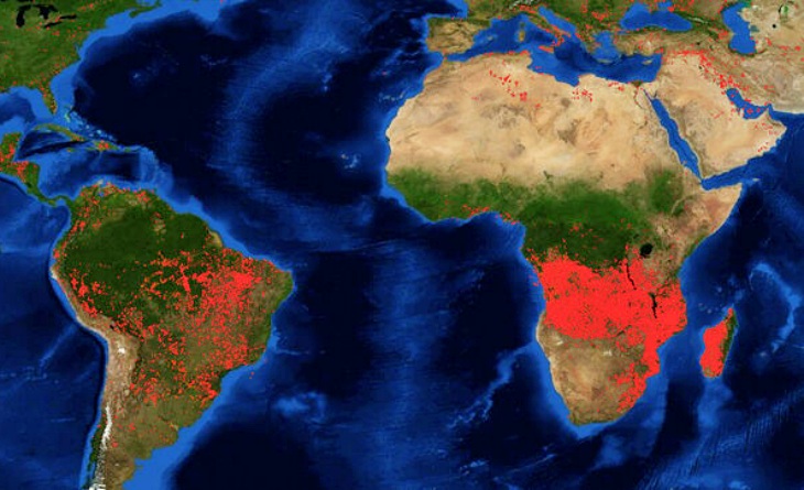 África Central puede perder sus hábitats milenarios y su biodiversidad por los masivos fuegos forestales