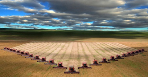 Todos los mandamientos para frenar la pérdida de biodiversidad en España