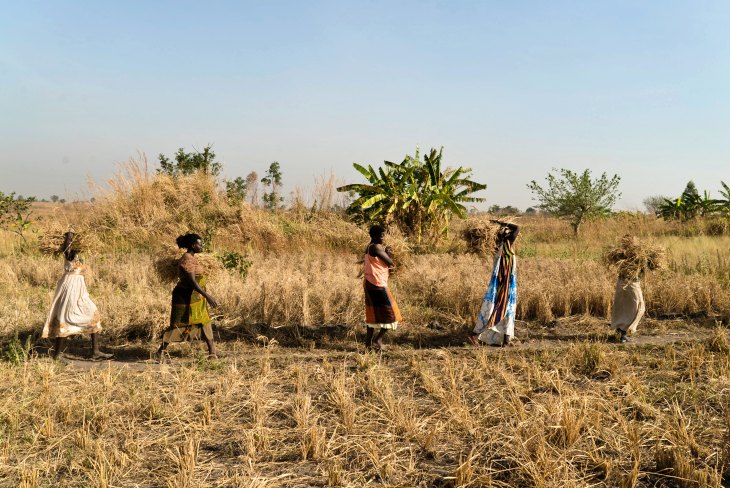 El agua subterránea subsahariana se resiste al cambio climático