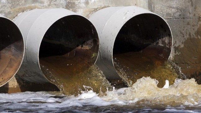 Un hongo fulmina los restos de medicamentos en aguas residuales