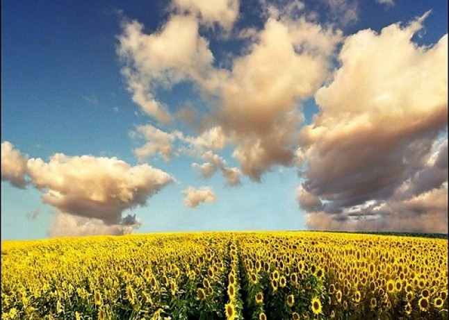Proyecto piloto que permitirá conocer mejor la calidad del aire