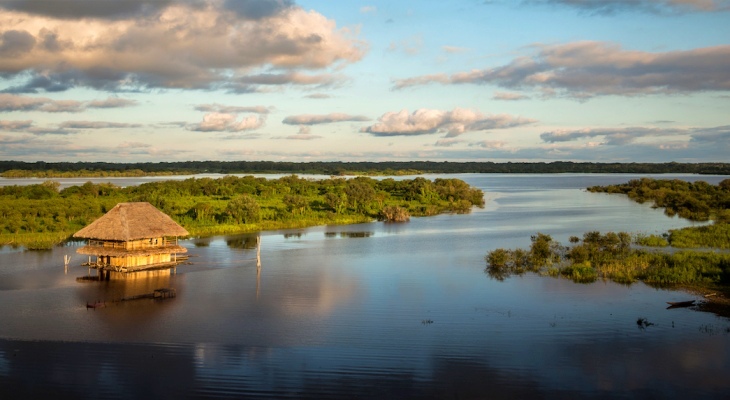 Los problemas de la AMAZONIA para absorber CO2