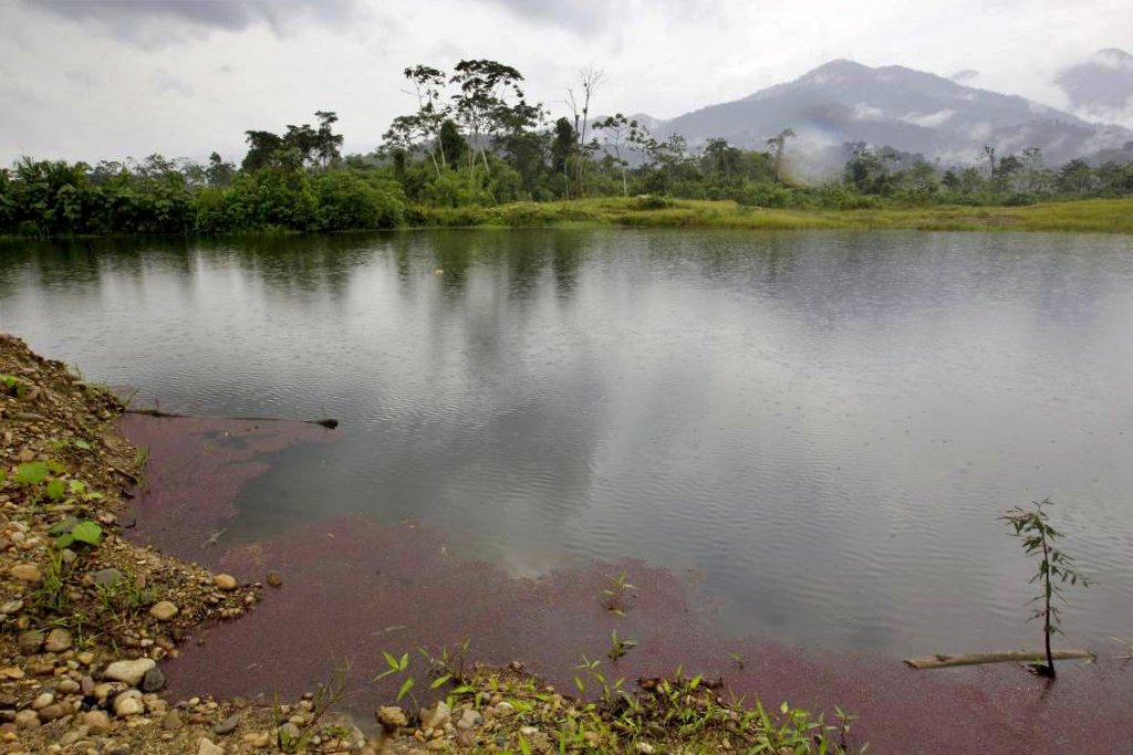 La Amazonia ‘atiborrada’ de plomo