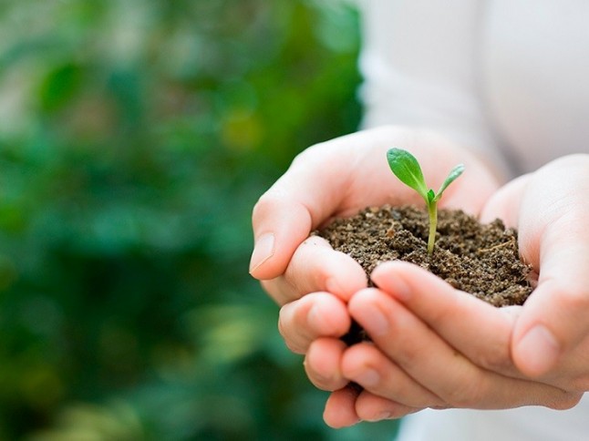 Galicia. Centro de Valadares: cuando el compromiso social se une a la protección ambiental