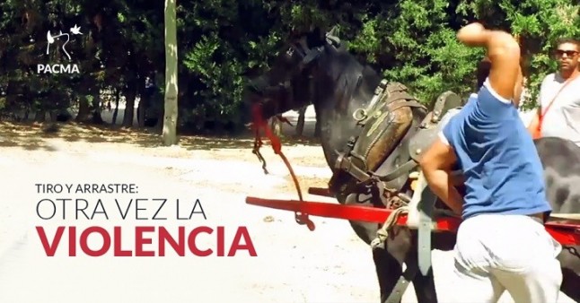 El maltrato animal subvencionado y aplaudido por la Comunidad Valenciana