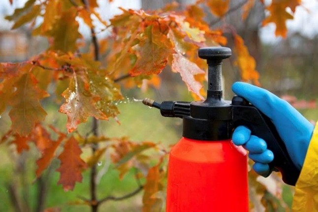 Dígame Sra. Ministra por qué no quiere bajar la toxicidad de los fertilizantes
