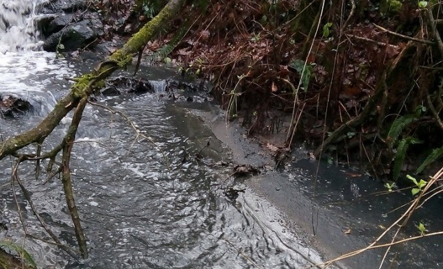 La eurodiputada Lídia Senra denuncia ante la UE el "desbordamiento" de la balsa de residuos de la mina de Touro