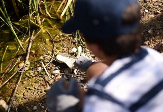 Todos controlando la basuraleza en ríos y humedales