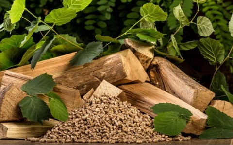 La biomasa de calefacción crece a buen ritmo en Galicia