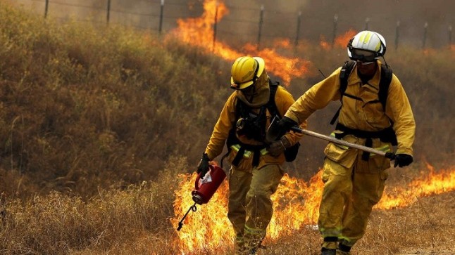 Demostrada la correlación entre abandono del mundo rural y una mayor incidencia de incendios forestales en Galicia