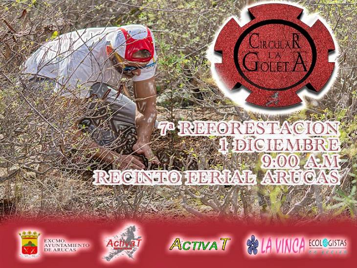 Convocan una plantación de flora canaria en las laderas del Tiro Pichón (Arucas) para el domingo 1 de diciembre