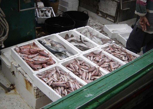 El barco pirata  Eros II puede huir del puerto gallego Santa Eugenia de Ribeira