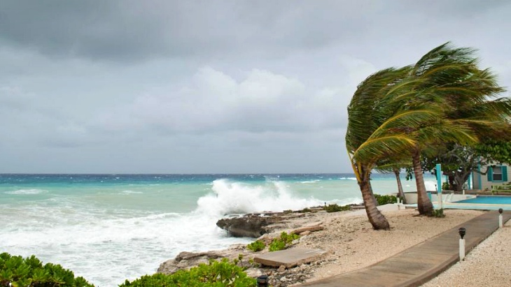 Crisis Climática: lo que dice la Ciencia