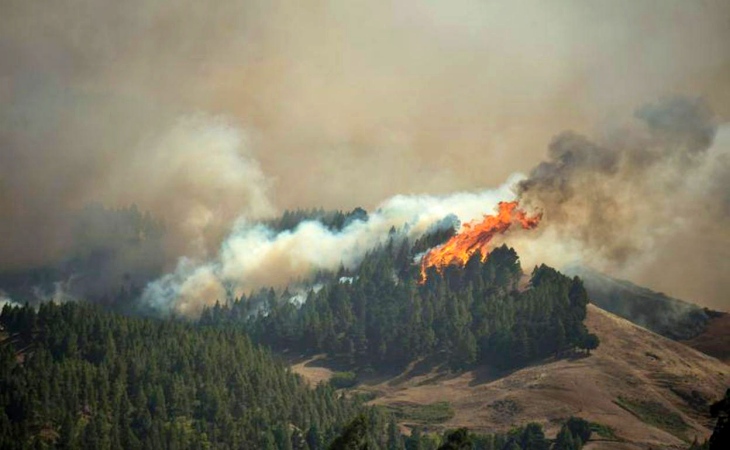 84.000 hectáreas fulminadas por el fuego en 2019