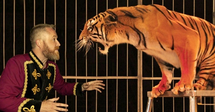 Denuncian al ‘Circo Zoorprendente’