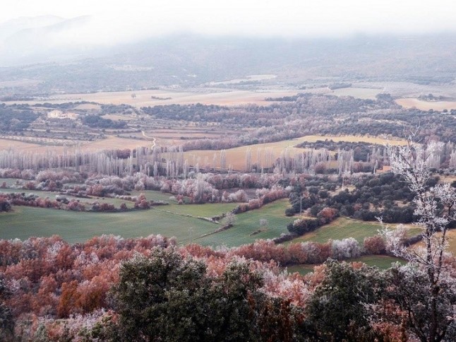El cambio climático afecta