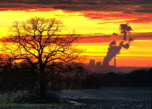 Medidas para reducir sus emisiones de CO2 y luchar contra el cambio climático