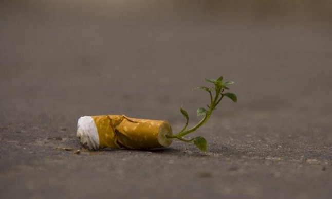 Tirar una colilla en el campo es una aberración