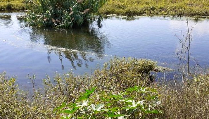 Pesca ilegal de delincuentes en la desembocadura del Mijares