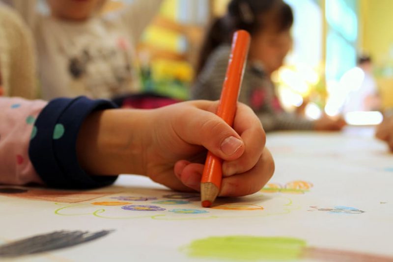 Concurso Guardianes del medio ambiente - Navarra