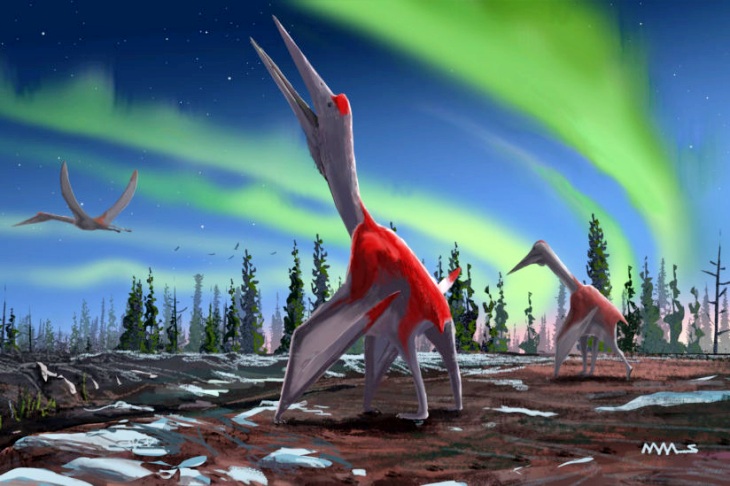 Qué sabes del ‘Cryodrakon boreas’