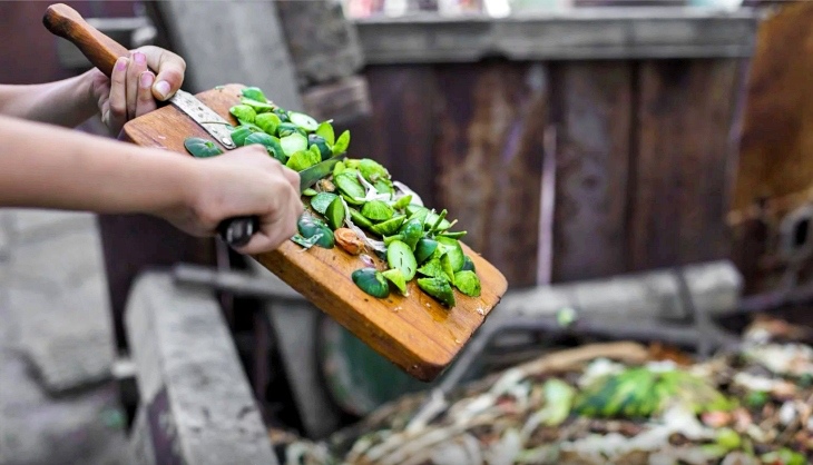 55 ideas fáciles y sencillas para cuidar nuestro planeta