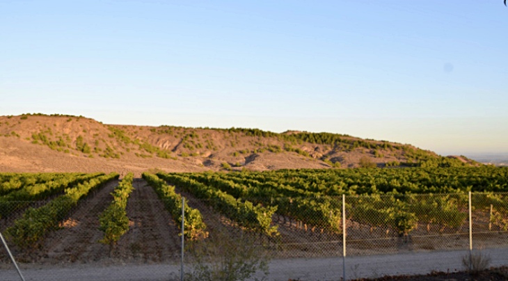 Polémica a cuenta del proyecto de parque eólico de ‘La Aldea’ (La Rioja)