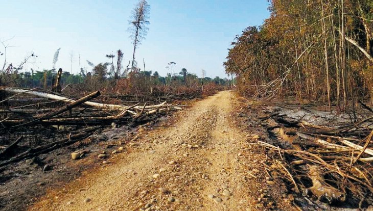 Brasil intenta desacreditar ‘sin conseguirlo’ los datos que denuncian un aumento de la deforestación
