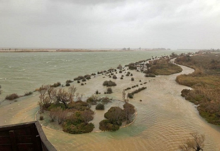 Gloria destroza el Delta del Ebro