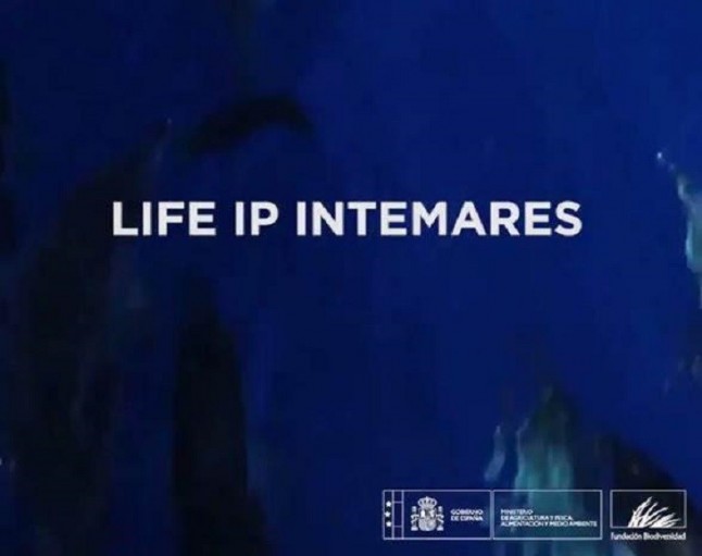 Anse desarrolla un proyecto para la mejora y conservación de los hábitats del litoral del Sureste Ibérico