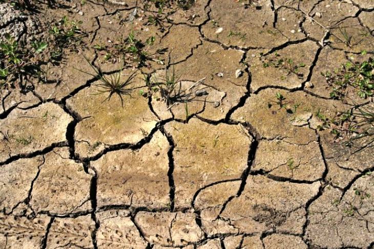 Catalunya también se desertiza (y más rápido de lo que creíamos)