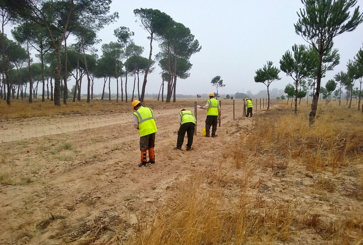 Ecologistas valoran la contribución de empresas privadas en la restauración de Doñana