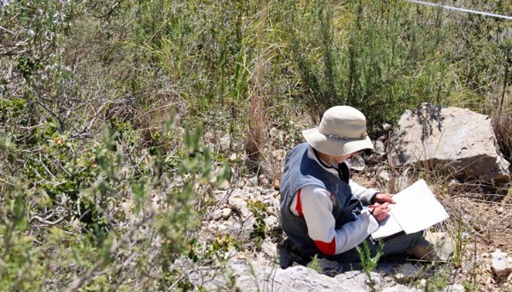 Sara Reverté trabaja en el CREAF en su proyecto de doctorado sobre las relaciones entre los polinizadores de plantas