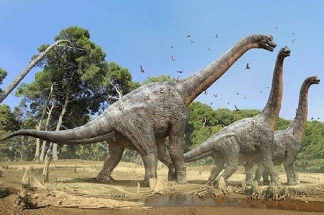 Descubren el pie más grande jamás encontrado de dinosaurio