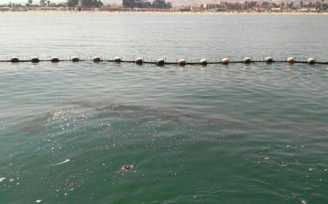 Asturias. Más vertidos en la playa de San Lorenzo