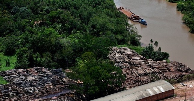 La madera de ipé liquida la Amazonia