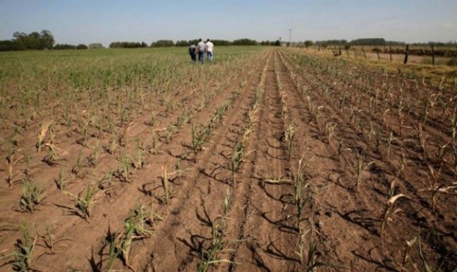 Argentina: Preocupa la sequía en el norte bonaerense